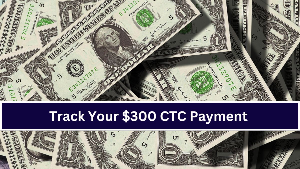 How to Track Your $300 CTC Payment in August 2024: A Step-by-Step Guide